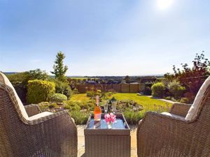 Patio View - click for photo gallery